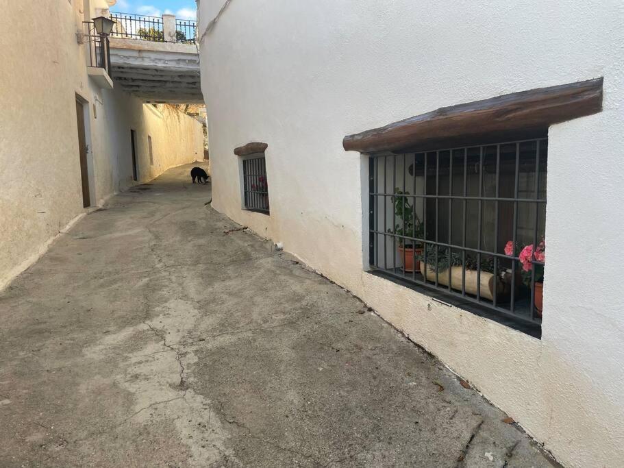 La Cuadra De Anita Mecina Fondales Exterior foto
