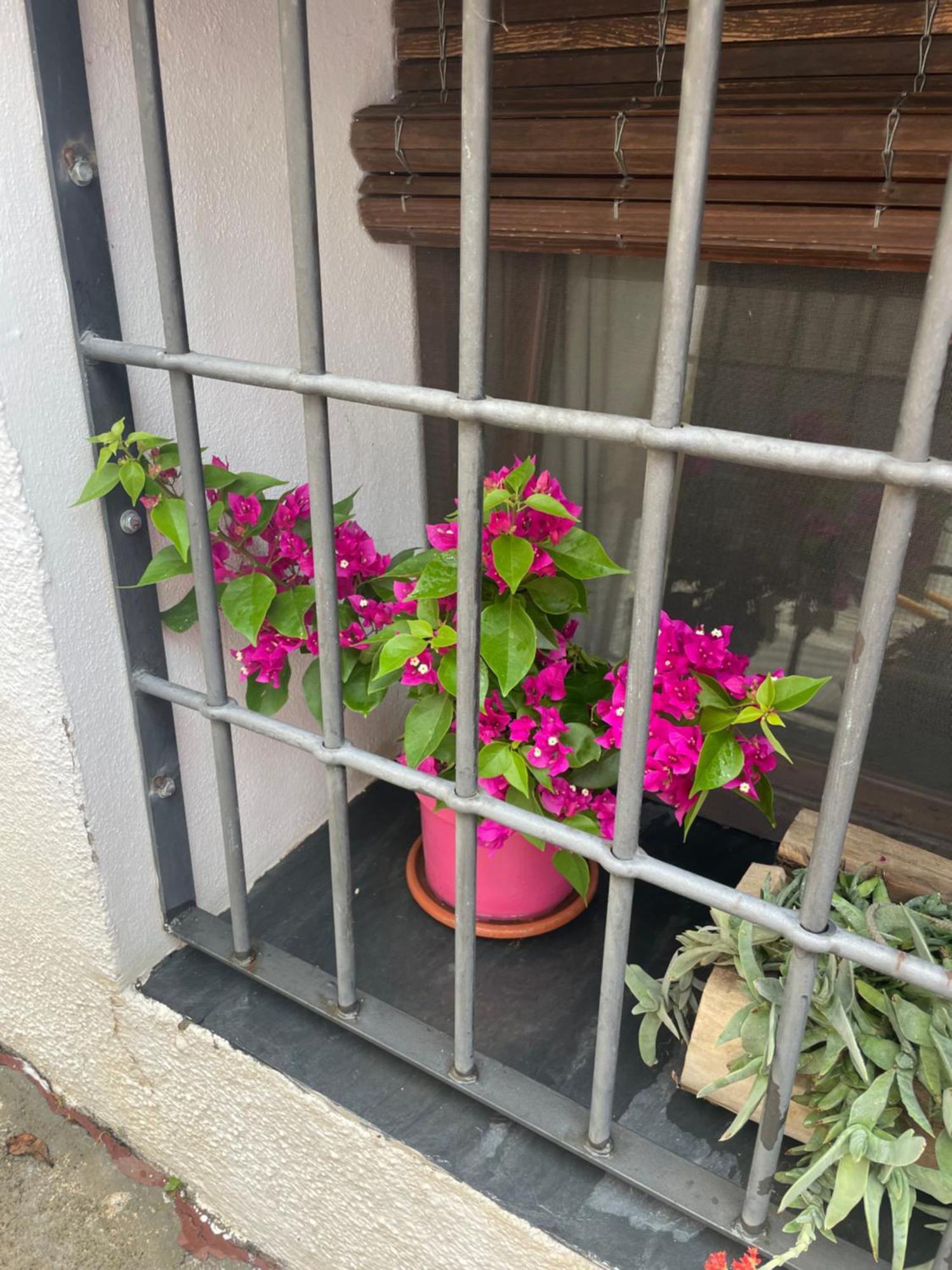 La Cuadra De Anita Mecina Fondales Exterior foto
