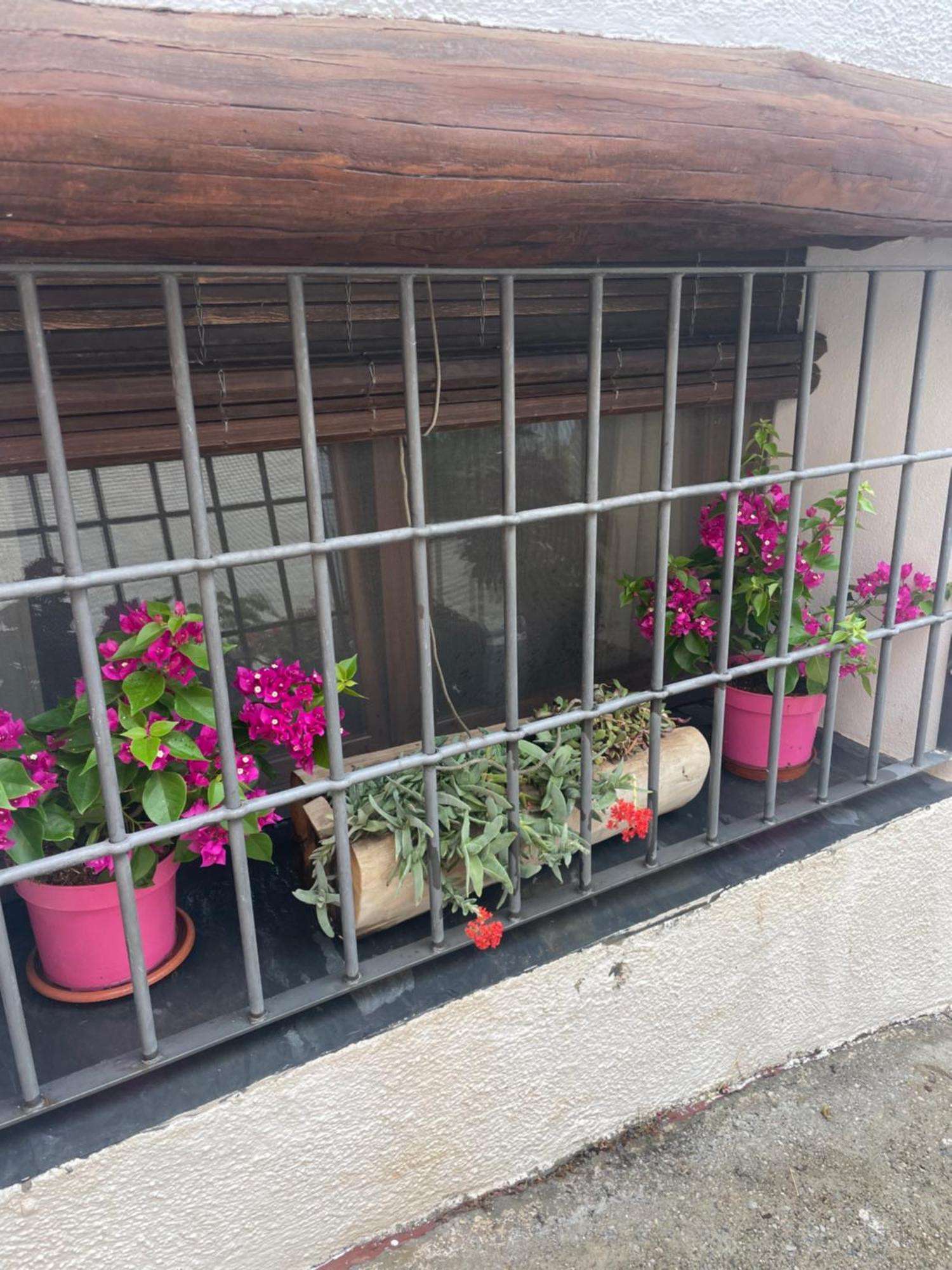 La Cuadra De Anita Mecina Fondales Exterior foto